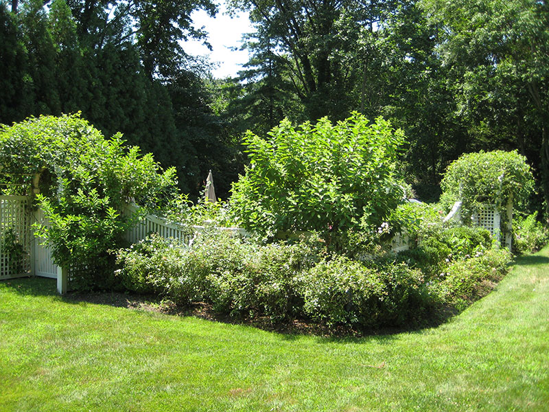 green landscaping around white fence