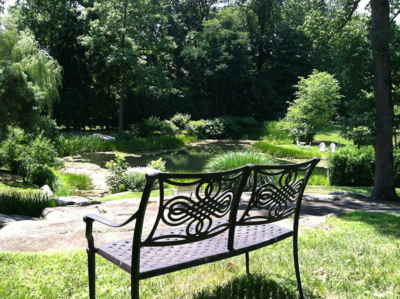 bench overlooking pond