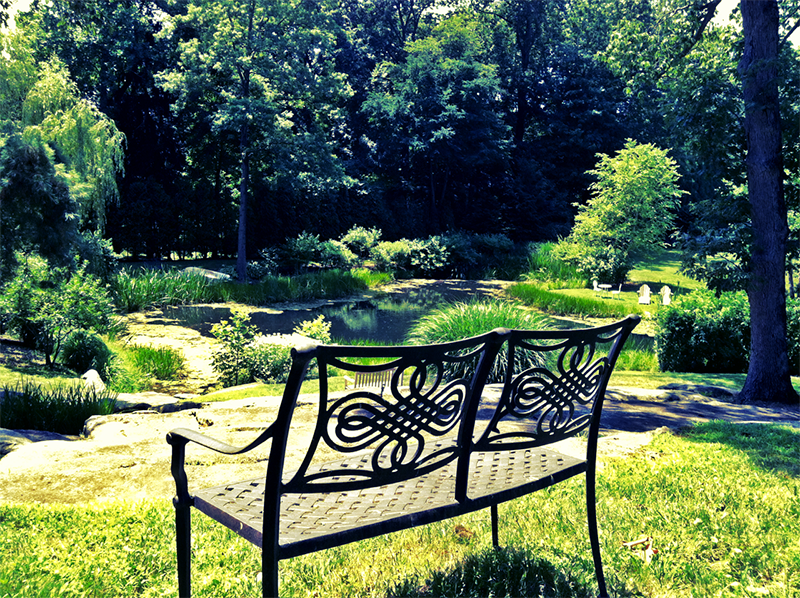 bench overlooking small lake in backyard