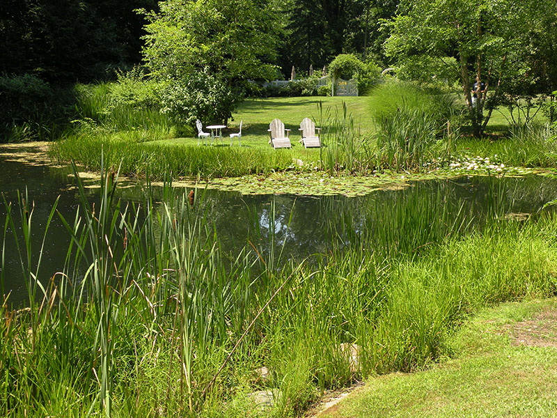 beautiful lake in backyard