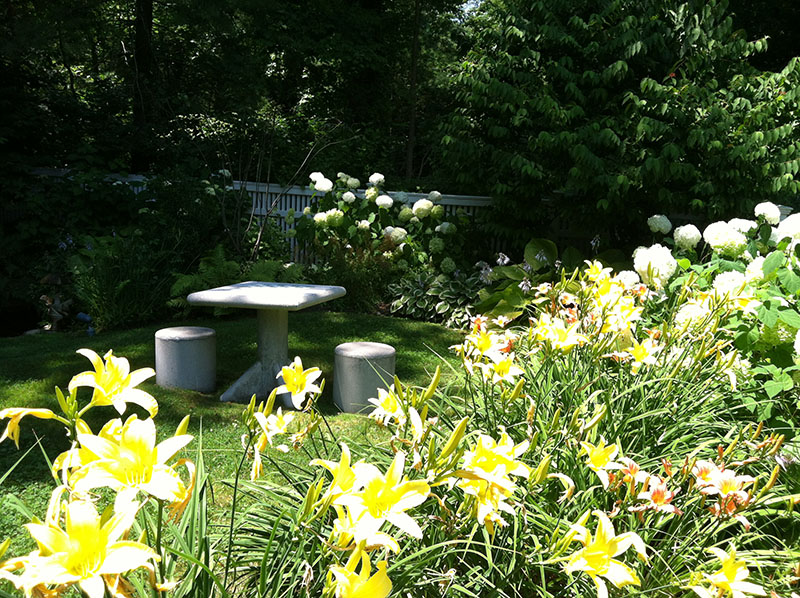 stone table seen through yellow flowers