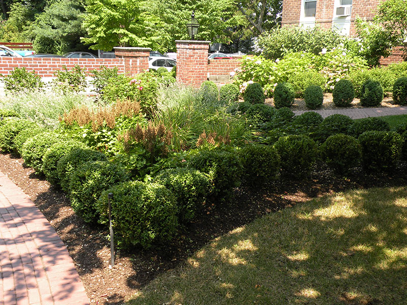 vibrant flower bed