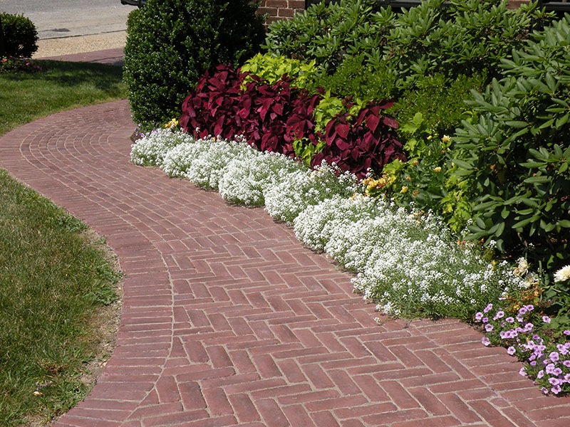 paved red brick pathway