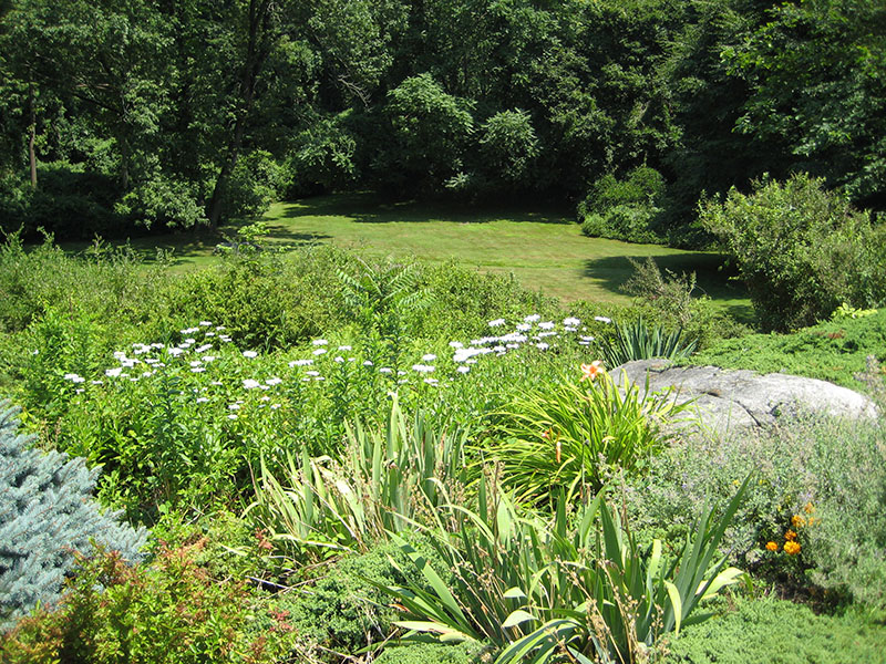 Landscape of yard