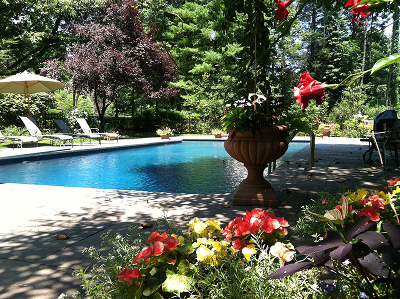 Amazing view of pretty pool