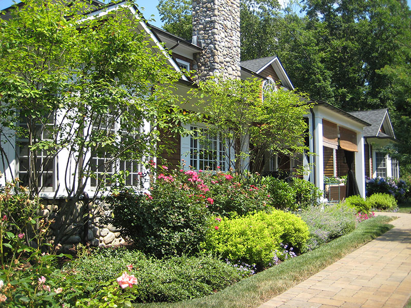 landscaping in back of house