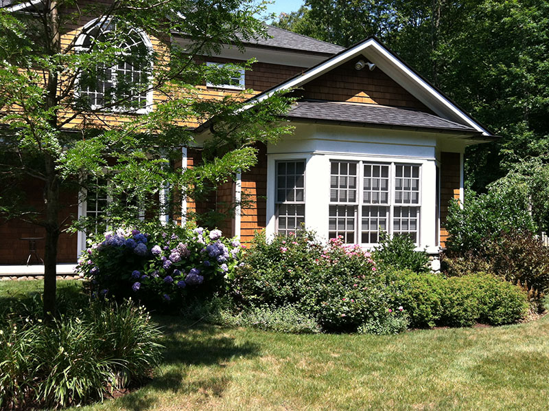 flowers in back of house