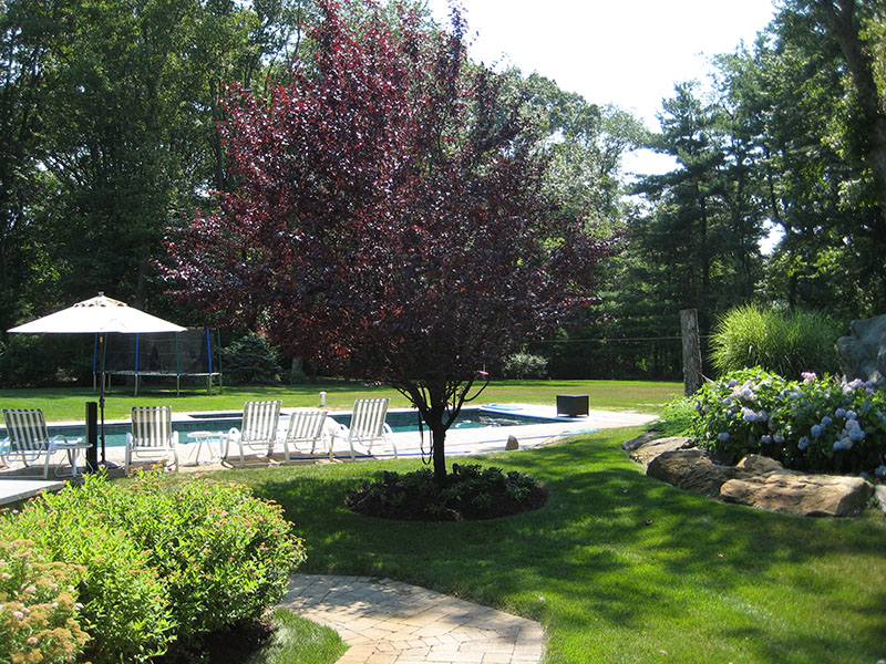 picturesque backyard with pool and flowers