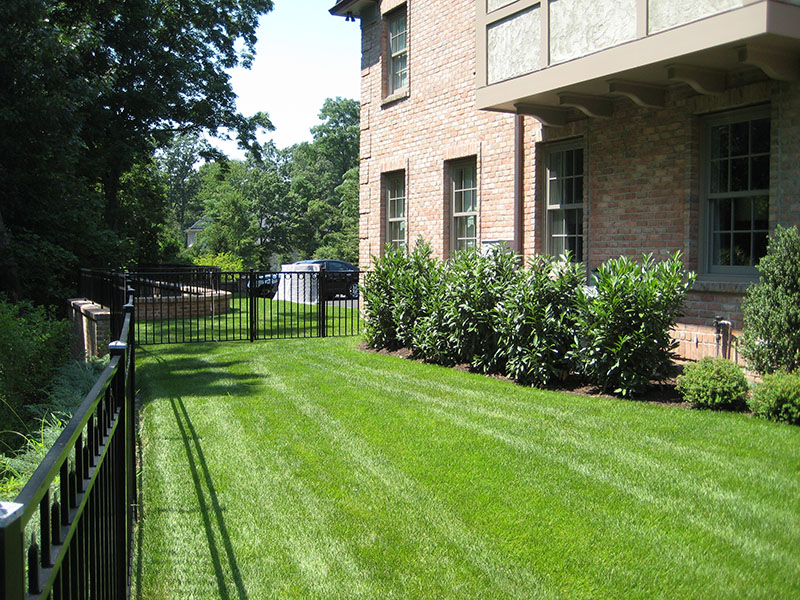 landscaping along side of house